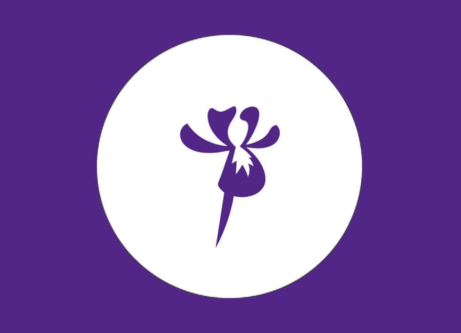 Iris machine learning