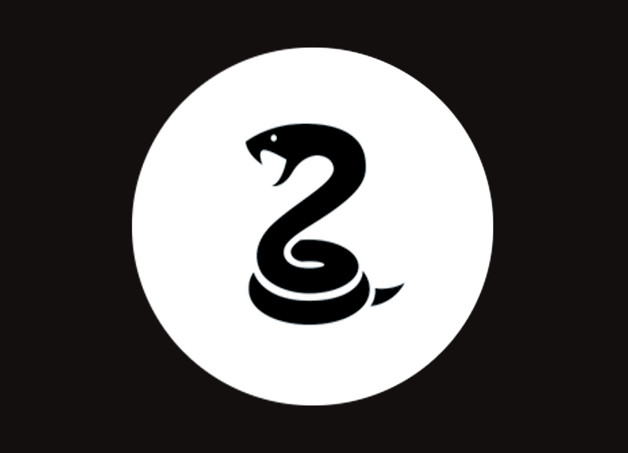 Snake game